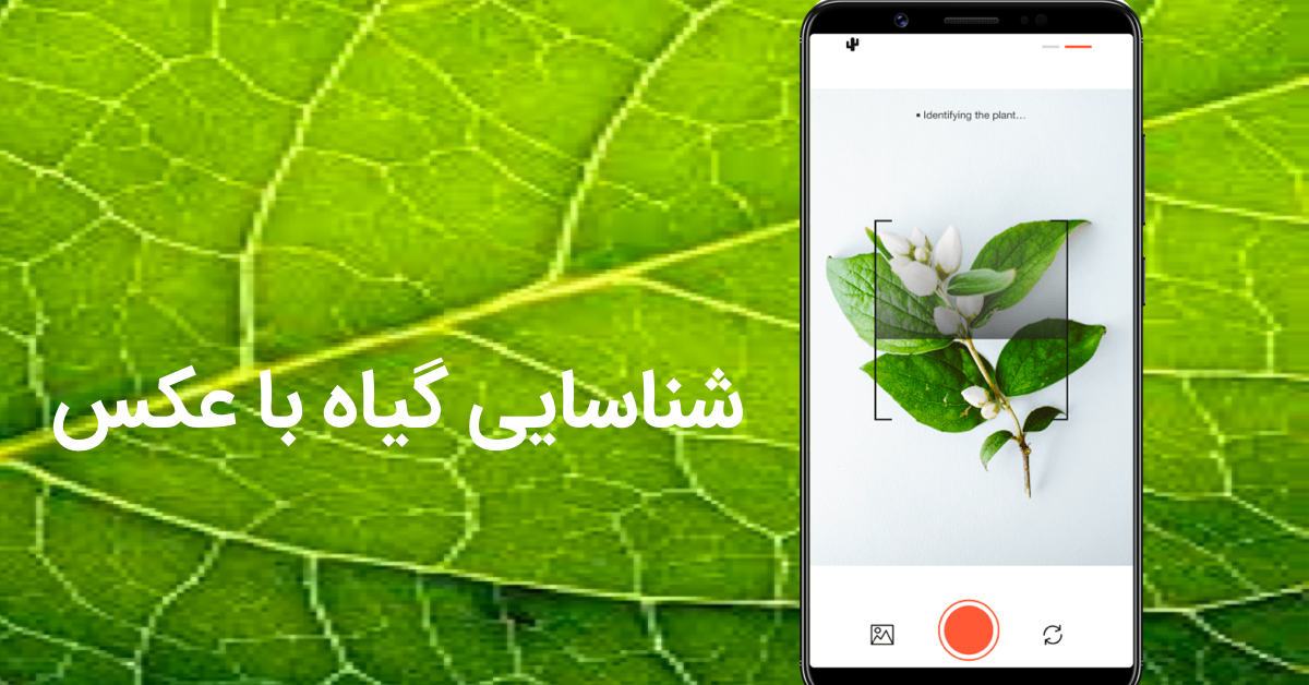  تشخیص گیاه از روی عکس فارسی