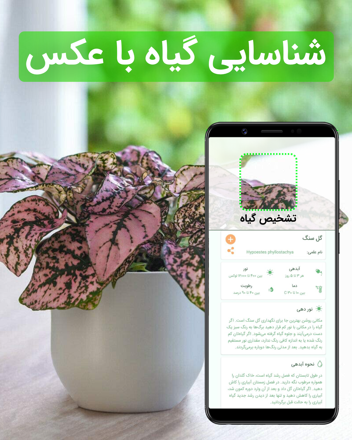 شناسایی و تشخیص گیاه برای آیفون و IOS